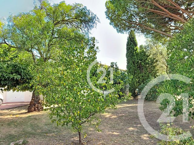 Maison &agrave; vendre - 4 pi&egrave;ces - 140 m2 - Montescot - 66 - LANGUEDOC-ROUSSILLON