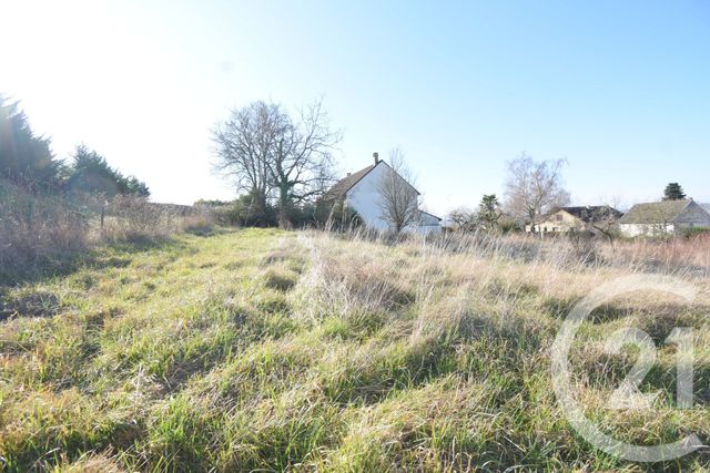 Terrain &agrave; vendre - 999 m2 - Abrest - 03 - AUVERGNE