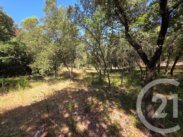 Maison &agrave; vendre - 6 pi&egrave;ces - 206,38 m2 - Les Arcs - 83 - PROVENCE-ALPES-COTE-D-AZUR