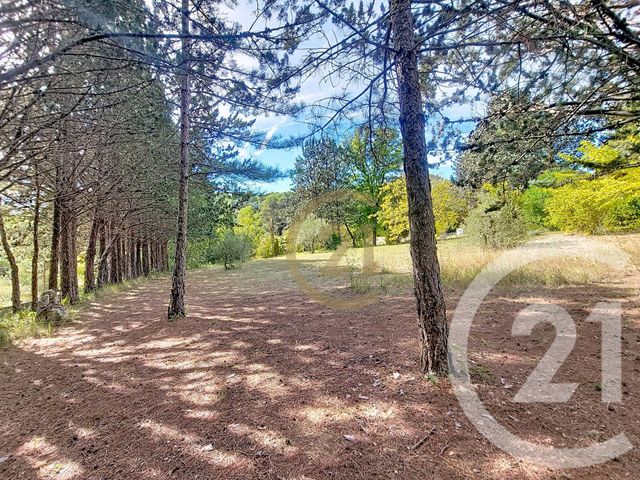 Maison à vendre - 6 pièces - 174 m2 - Lorgues - 83 - PROVENCE-ALPES-COTE-D-AZUR