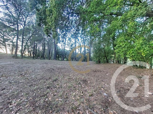 Terrain &agrave; vendre - 7000 m2 - Callas - 83 - PROVENCE-ALPES-COTE-D-AZUR