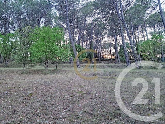 Terrain &agrave; vendre - 7000 m2 - Callas - 83 - PROVENCE-ALPES-COTE-D-AZUR