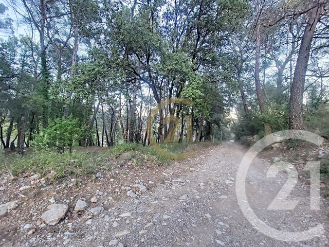 Terrain &agrave; vendre - 7000 m2 - Callas - 83 - PROVENCE-ALPES-COTE-D-AZUR