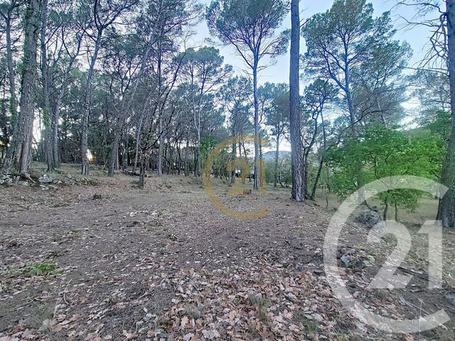 Terrain &agrave; vendre - 7000 m2 - Callas - 83 - PROVENCE-ALPES-COTE-D-AZUR