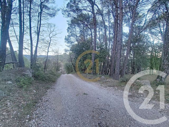 Terrain &agrave; vendre - 7000 m2 - Callas - 83 - PROVENCE-ALPES-COTE-D-AZUR