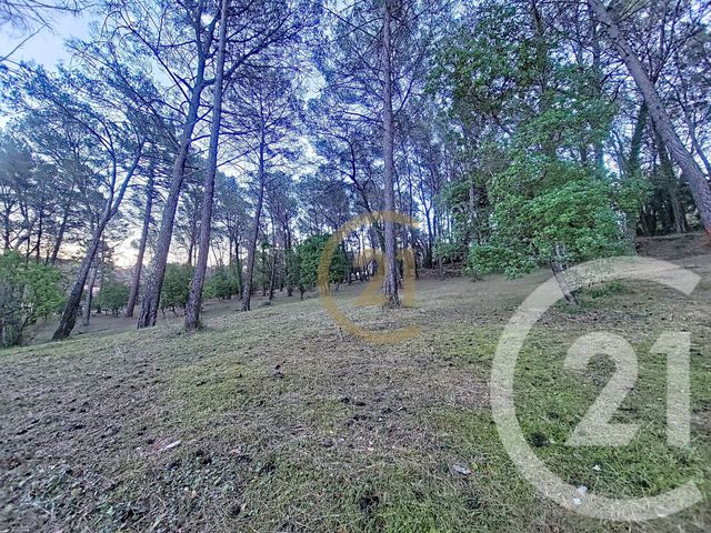 Terrain &agrave; vendre - 7000 m2 - Callas - 83 - PROVENCE-ALPES-COTE-D-AZUR