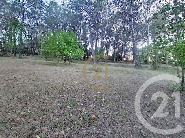 Terrain &agrave; vendre - 7000 m2 - Callas - 83 - PROVENCE-ALPES-COTE-D-AZUR