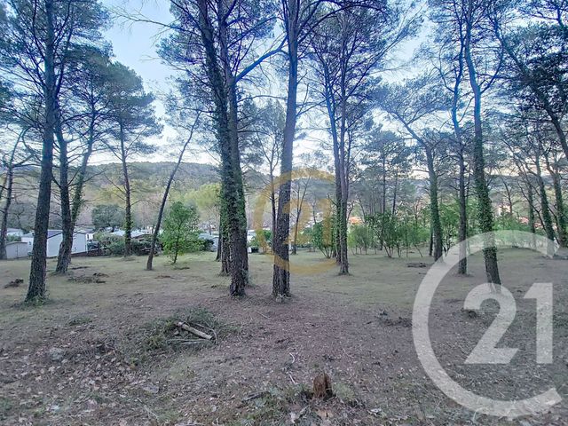 Terrain &agrave; vendre - 7000 m2 - Callas - 83 - PROVENCE-ALPES-COTE-D-AZUR