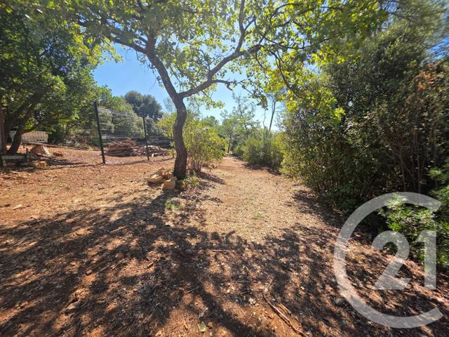 Terrain &agrave; vendre - 1650 m2 - Lorgues - 83 - PROVENCE-ALPES-COTE-D-AZUR