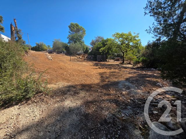 Terrain &agrave; vendre - 1650 m2 - Lorgues - 83 - PROVENCE-ALPES-COTE-D-AZUR