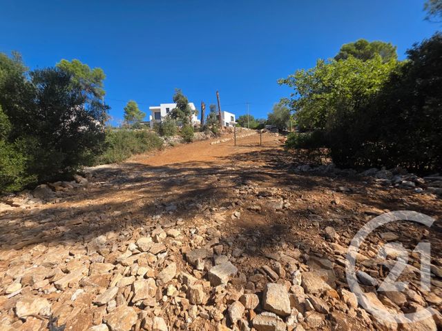 Terrain &agrave; vendre - 1650 m2 - Lorgues - 83 - PROVENCE-ALPES-COTE-D-AZUR