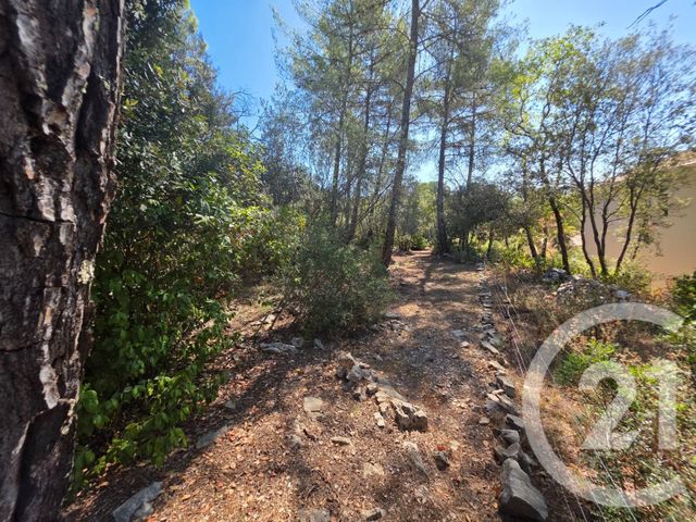 Terrain &agrave; vendre - 1650 m2 - Lorgues - 83 - PROVENCE-ALPES-COTE-D-AZUR