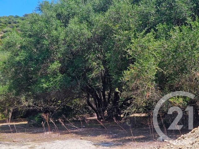 Appartement T4 à vendre - 4 pièces - 77 m2 - Oletta - 202 - CORSE