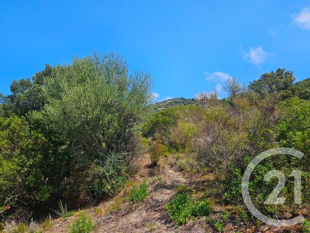 Appartement T4 à vendre - 4 pièces - 77 m2 - Oletta - 202 - CORSE