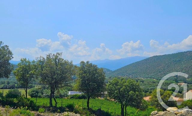 Appartement T4 à vendre - 4 pièces - 77 m2 - Oletta - 202 - CORSE