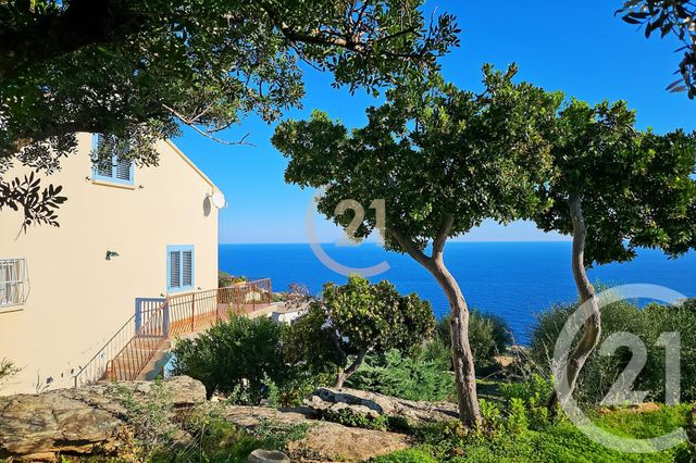 Maison à vendre - 6 pièces - 181,91 m2 - San Martino Di Lota - 202 - CORSE