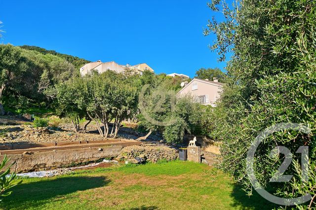 Maison à vendre - 6 pièces - 181,91 m2 - San Martino Di Lota - 202 - CORSE