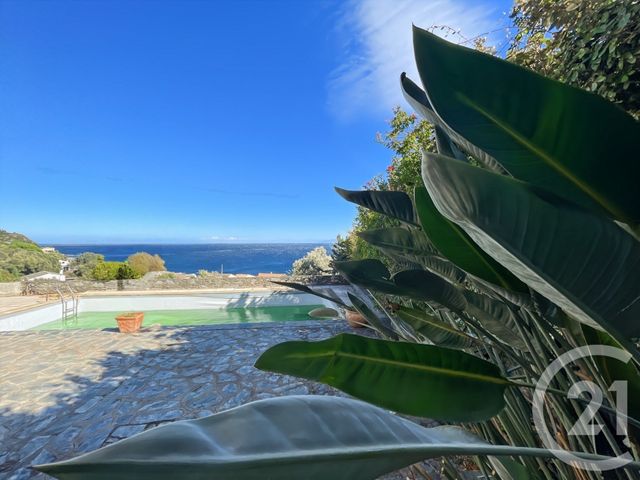 Maison à vendre - 6 pièces - 261,21 m2 - Santa Maria Di Lota - 202 - CORSE