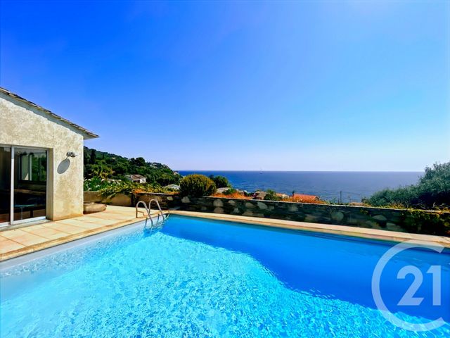 maison - SANTA MARIA DI LOTA - 202