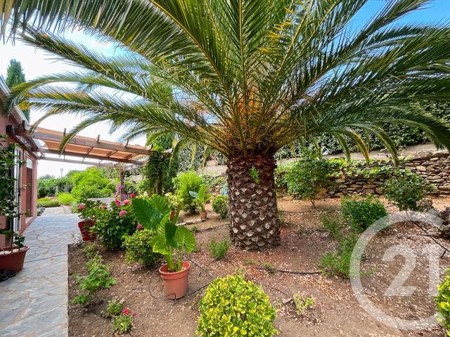 Maison à vendre - 6 pièces - 156,29 m2 - Oletta - 202 - CORSE