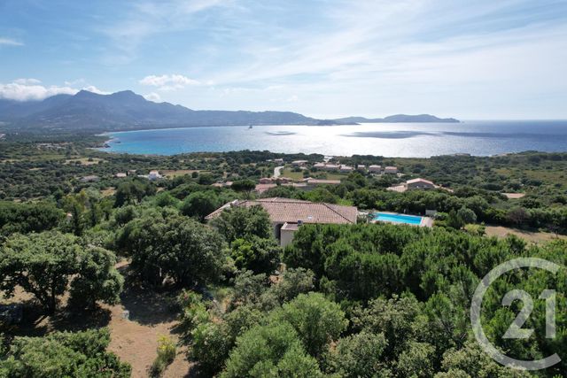 Maison à vendre - 5 pièces - 146 m2 - Lumio - 202 - CORSE