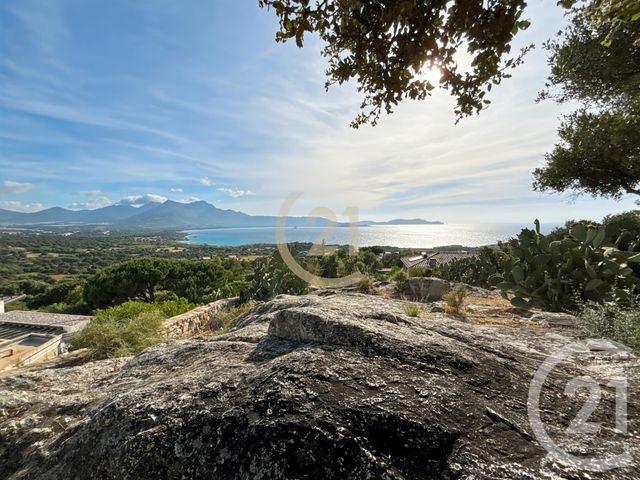 Maison à vendre - 5 pièces - 146 m2 - Lumio - 202 - CORSE