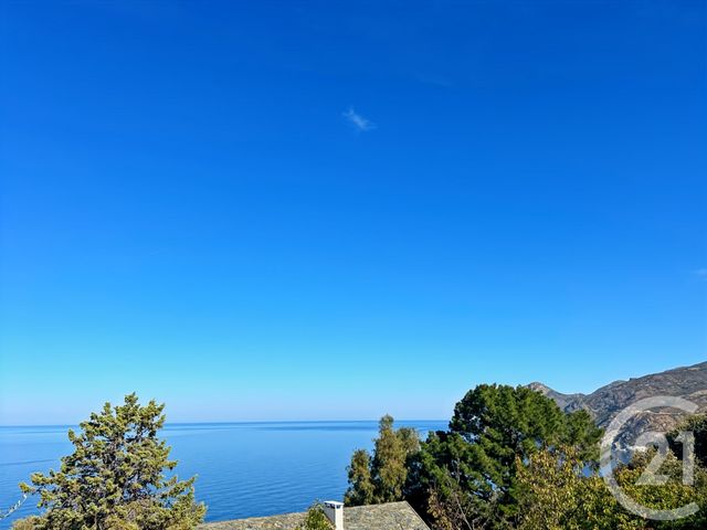 terrain - CANARI - 202