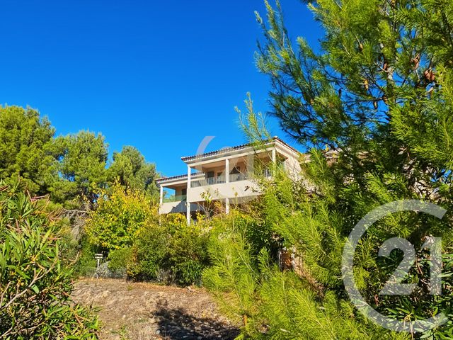 Appartement T2 &agrave; vendre - 2 pi&egrave;ces - 40,49 m2 - Patrimonio - 202 - CORSE