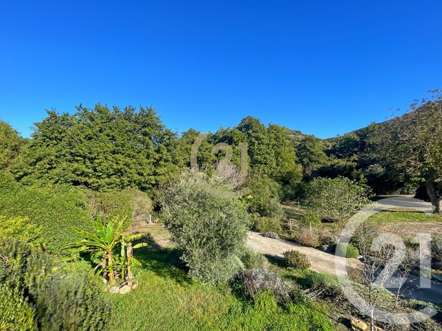 Maison &agrave; vendre - 6 pi&egrave;ces - 205 m2 - Oletta - 202 - CORSE