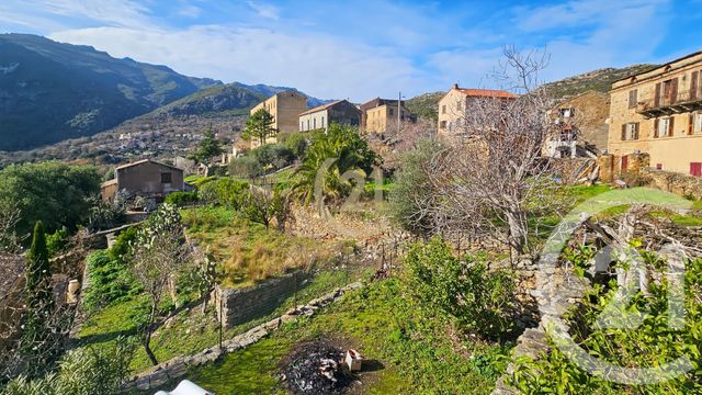 Maison &agrave; vendre - 8 pi&egrave;ces - 272,04 m2 - Santo Pietro Di Tenda - 202 - CORSE
