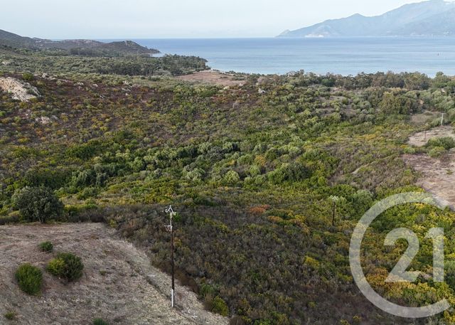 Terrain &agrave; vendre - 26904 m2 - St Florent - 202 - CORSE