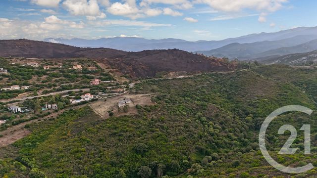 terrain - ST FLORENT - 202
