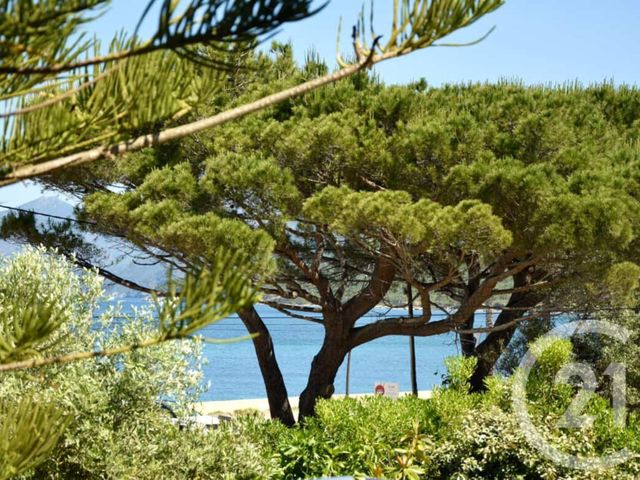 Maison &agrave; vendre - 12 pi&egrave;ces - 420 m2 - St Florent - 202 - CORSE