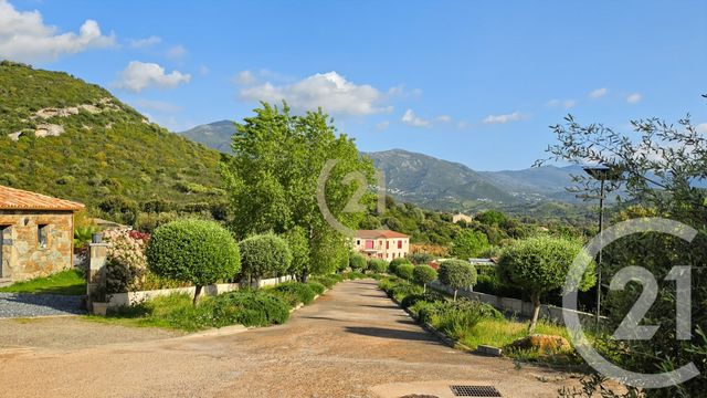 Appartement &agrave; vendre - 3 pi&egrave;ces - 60,83 m2 - Oletta - 202 - CORSE