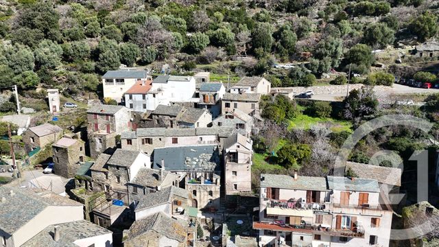 Maison &agrave; vendre - 3 pi&egrave;ces - 50 m2 - Olcani - 202 - CORSE