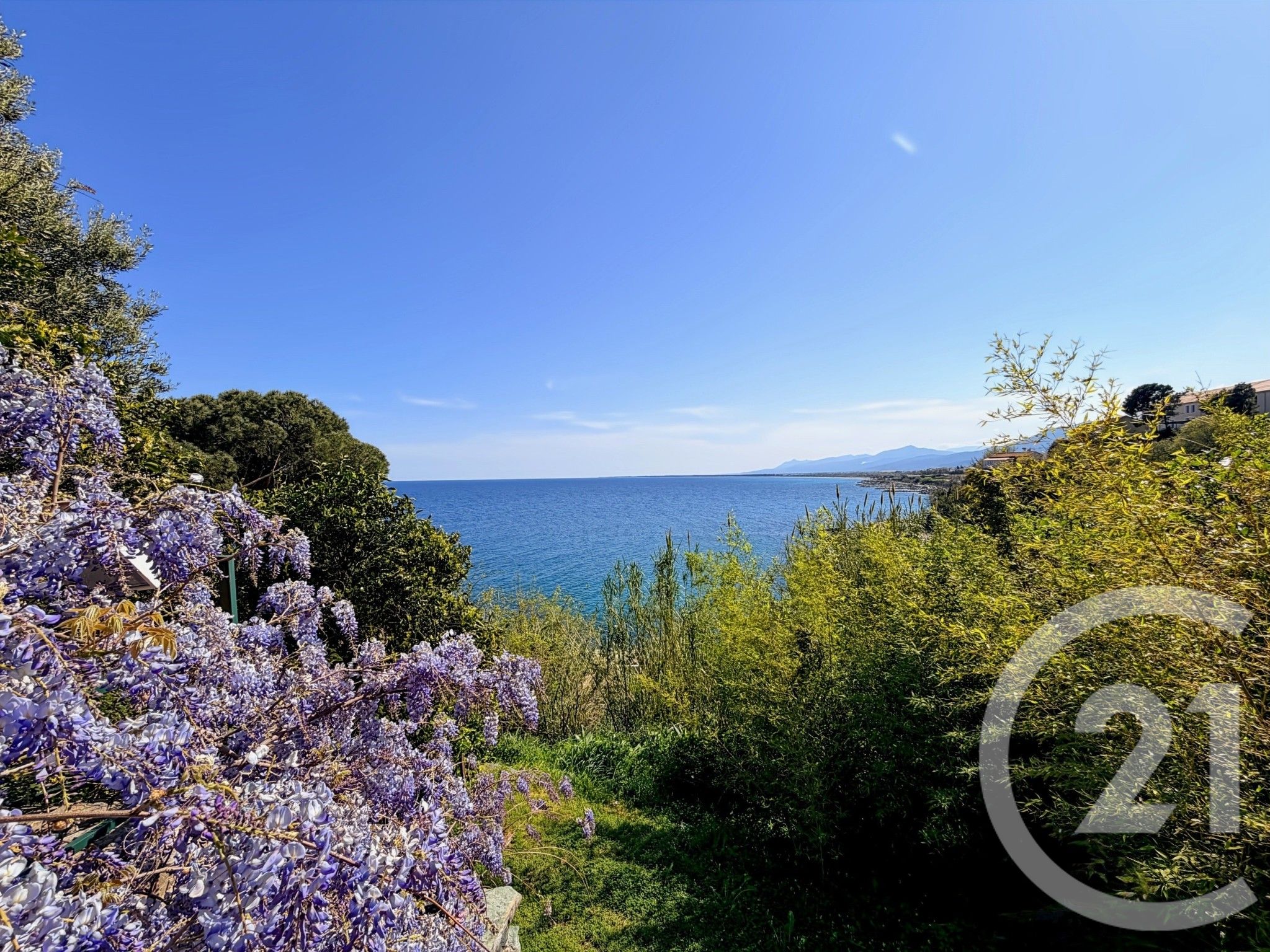 Appartement T4 à vendre - 4 pièces - 62,50 m2 - Bastia - 202 - CORSE — 11