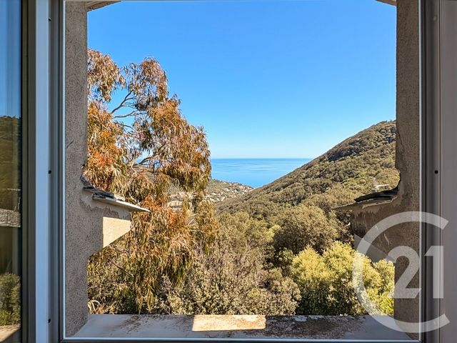 Maison &agrave; vendre - 12 pi&egrave;ces - 487 m2 - San Martino Di Lota - 202 - CORSE