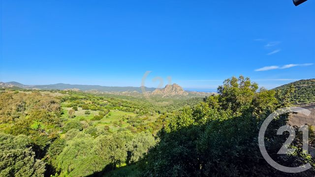 Appartement &agrave; vendre - 2 pi&egrave;ces - 24,58 m2 - Santo Pietro Di Tenda - 202 - CORSE