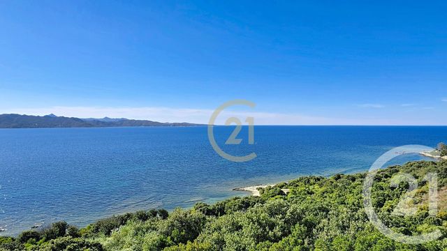 Appartement &agrave; vendre - 4 pi&egrave;ces - 67,65 m2 - Patrimonio - 202 - CORSE
