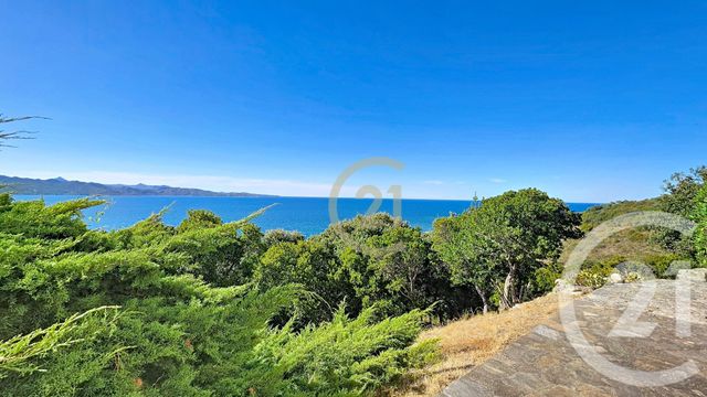 Appartement &agrave; vendre - 4 pi&egrave;ces - 67,65 m2 - Patrimonio - 202 - CORSE
