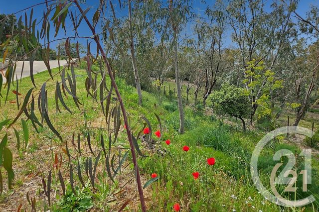 Maison à vendre - 5 pièces - 230 m2 - St Florent - 202 - CORSE