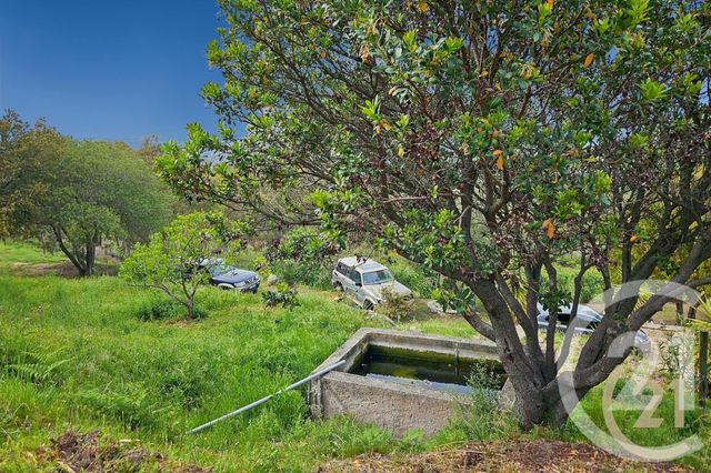 Maison à vendre - 5 pièces - 230 m2 - St Florent - 202 - CORSE