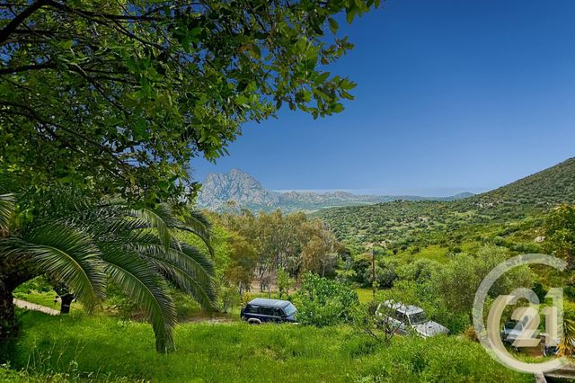 Maison à vendre - 5 pièces - 230 m2 - St Florent - 202 - CORSE