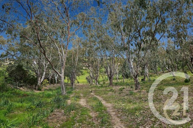 Maison à vendre - 5 pièces - 230 m2 - St Florent - 202 - CORSE