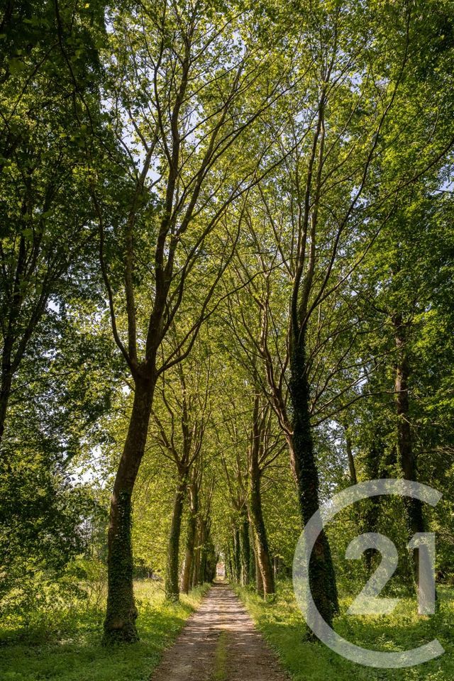 Maison &agrave; vendre - 14 pi&egrave;ces - 527,60 m2 - Barbizon - 77 - ILE-DE-FRANCE