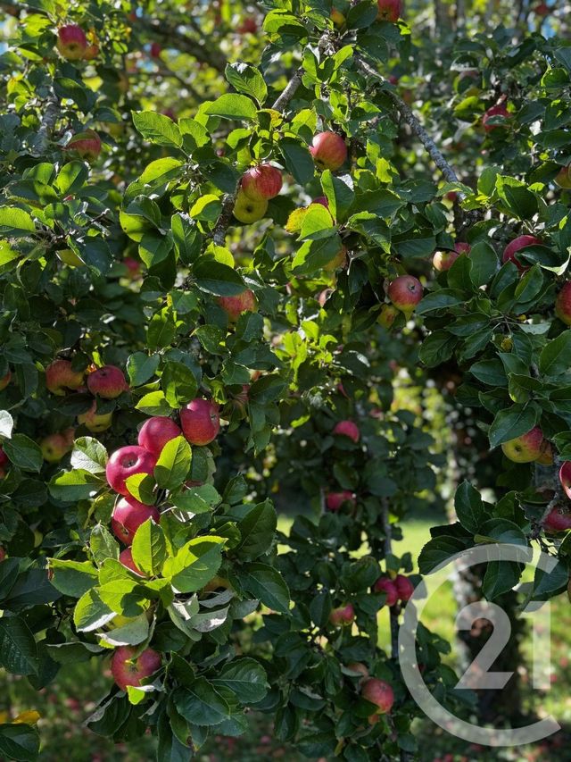 Maison à vendre - 9 pièces - 204,12 m2 - Perthes - 77 - ILE-DE-FRANCE