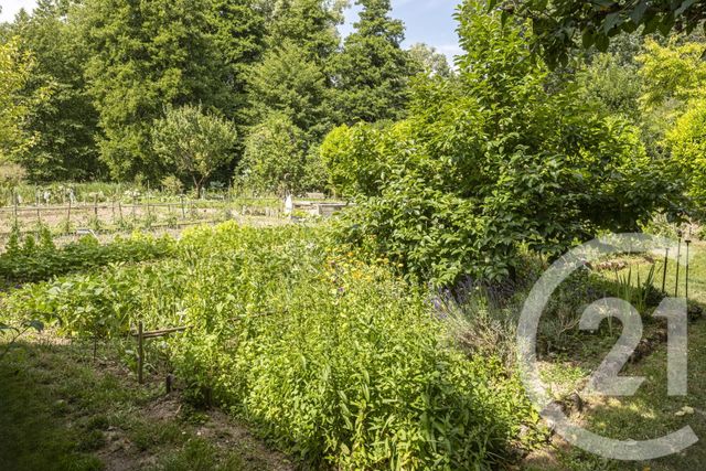 Maison à vendre - 16 pièces - 800 m2 - Aulnay La Riviere - 45 - CENTRE