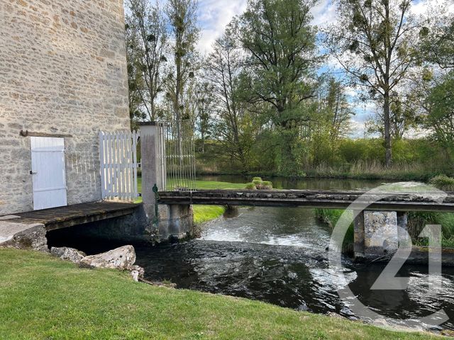 Maison à vendre - 16 pièces - 800 m2 - Aulnay La Riviere - 45 - CENTRE