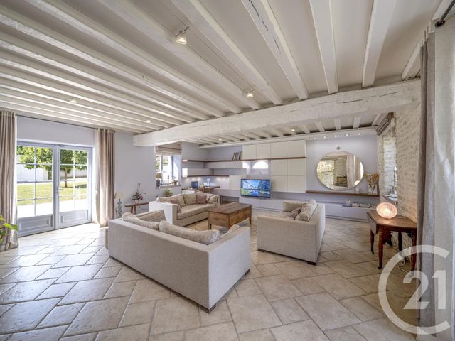 Maison à vendre - 16 pièces - 800 m2 - Aulnay La Riviere - 45 - CENTRE