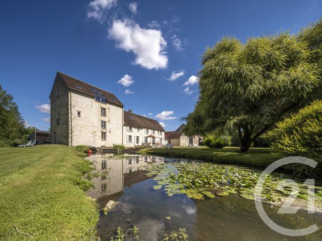 Maison à vendre - 16 pièces - 800 m2 - Aulnay La Riviere - 45 - CENTRE